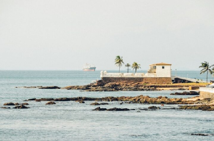 Custom Seawall Construction